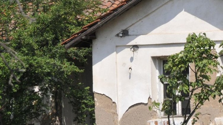 Снимка: Булфото, архив