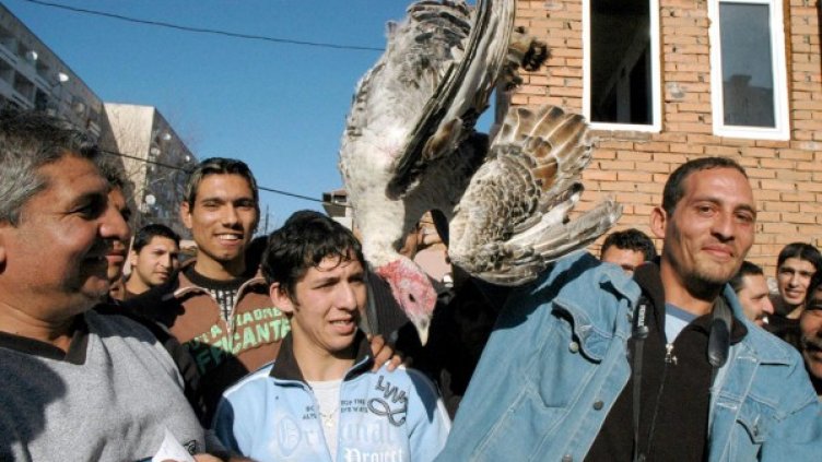 Снимка: архив Булфото