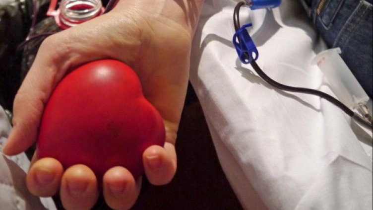 Снимка: Булфото, ахрив