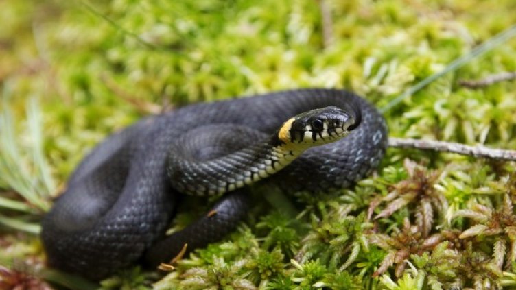 Снимка: Reuters, архив