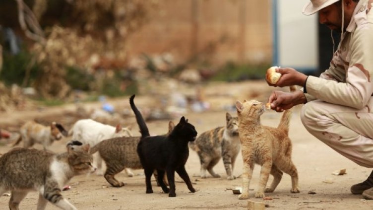 Снимка: архив Reuters