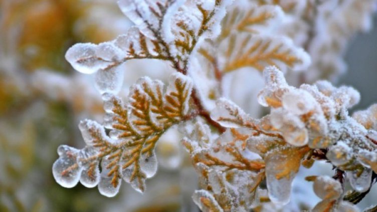 Снимка: архив, БулФото