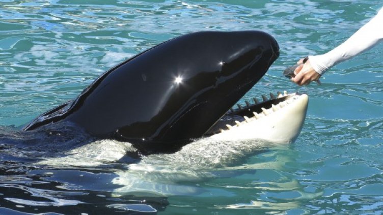 Снимка: Reuters