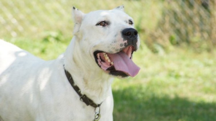 Снимка: Facebook