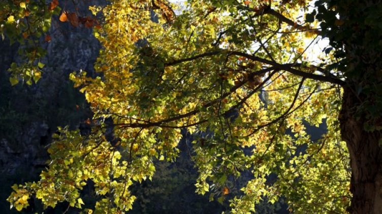 Снимка: архив Reuters