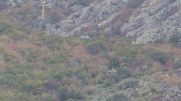 Снимка: архив, Булфото