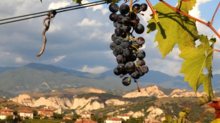 Снимка: архив Булфото