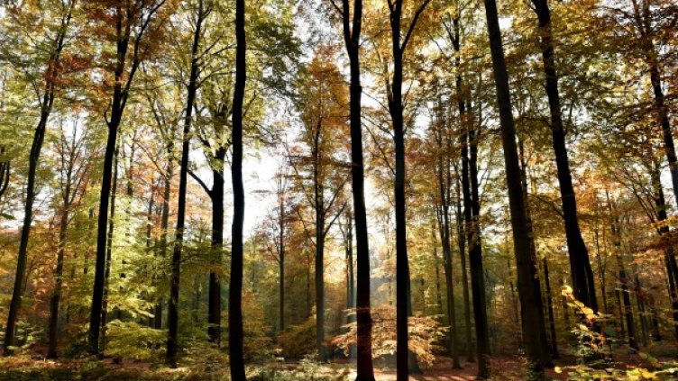 Снимка: архив,  Reuters