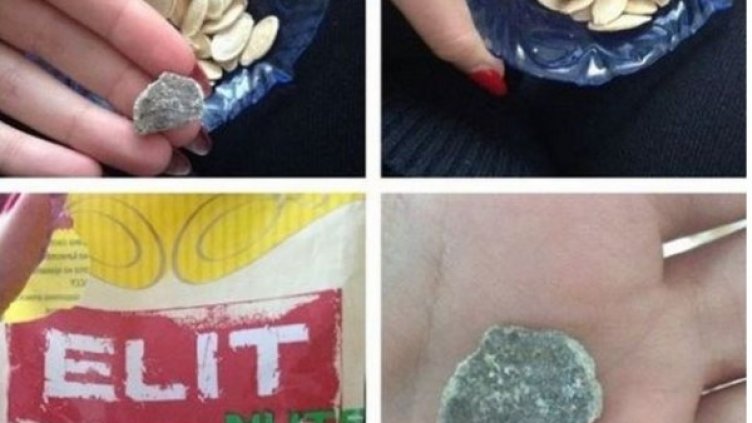 Снимка: trud.bg и Нова Телевизия