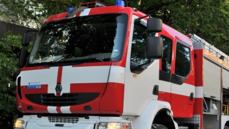 Снимка: архив, Булфото