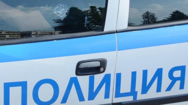 Снимка: Архив Булфото