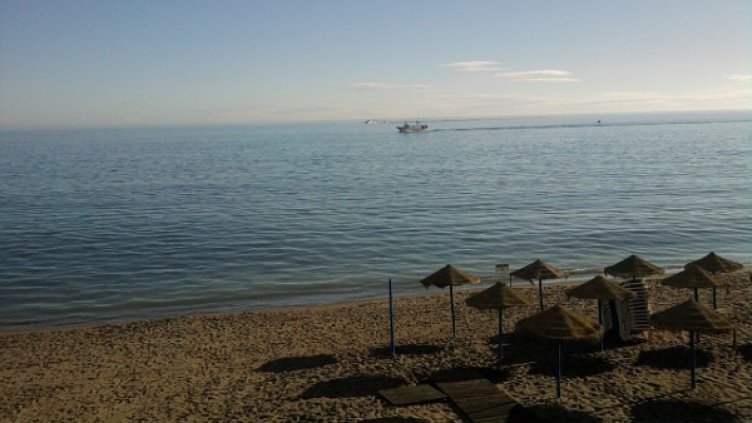 Снимка: Investor.bg