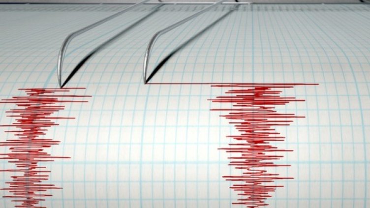 Снимка: flickr