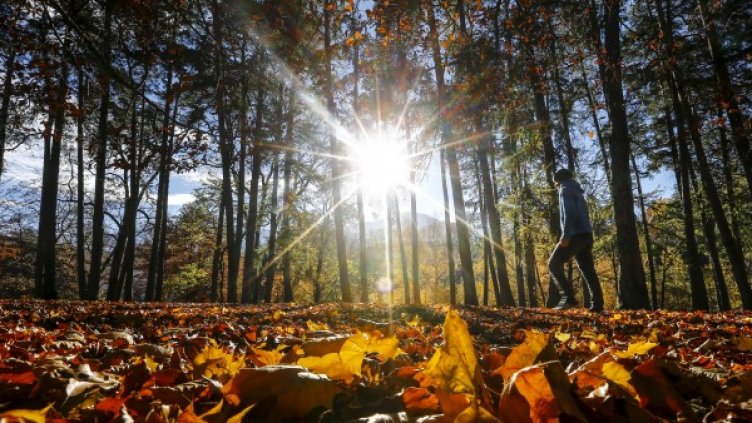 Снимка: Reuters, архив
