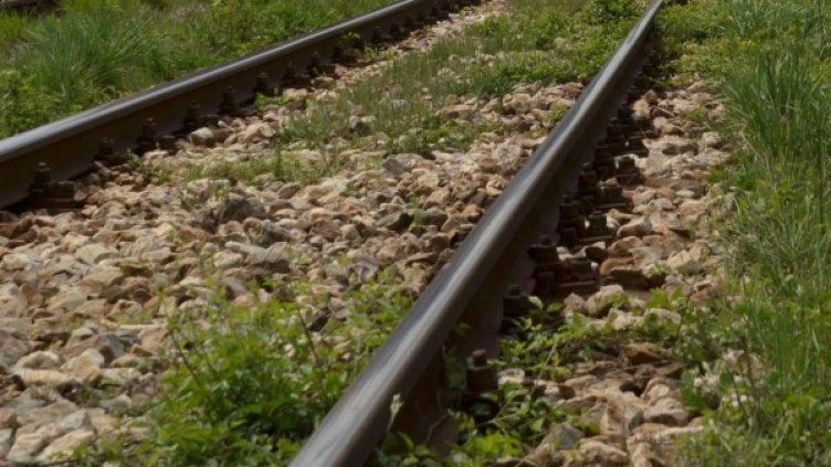 Снимка: архив Булфото