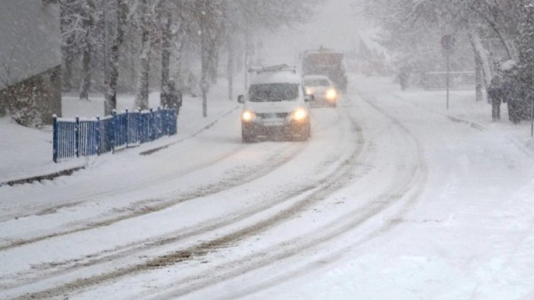 Снимка: архив, БулФото