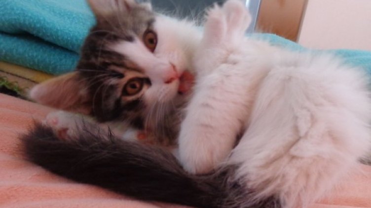 Снимка: Dnes.bg