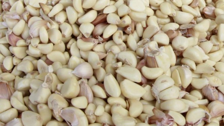 Снимка: Reuters, архив