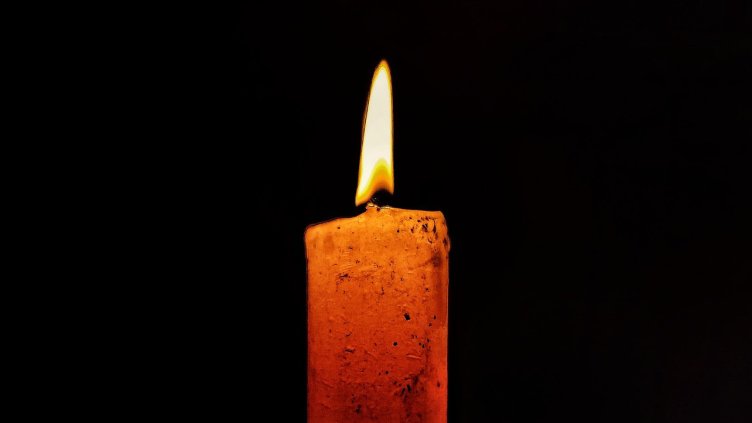 Снимка: Pixabay