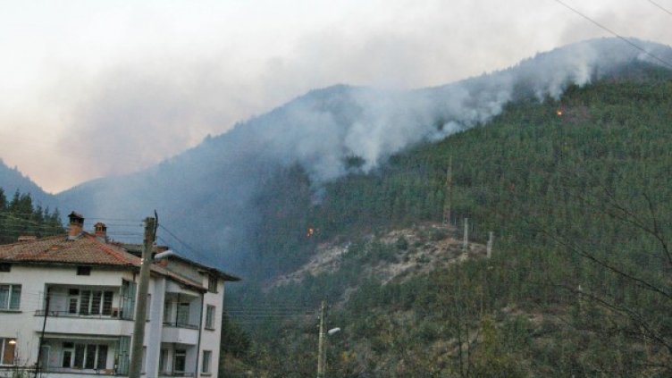 Снимка: Булфото