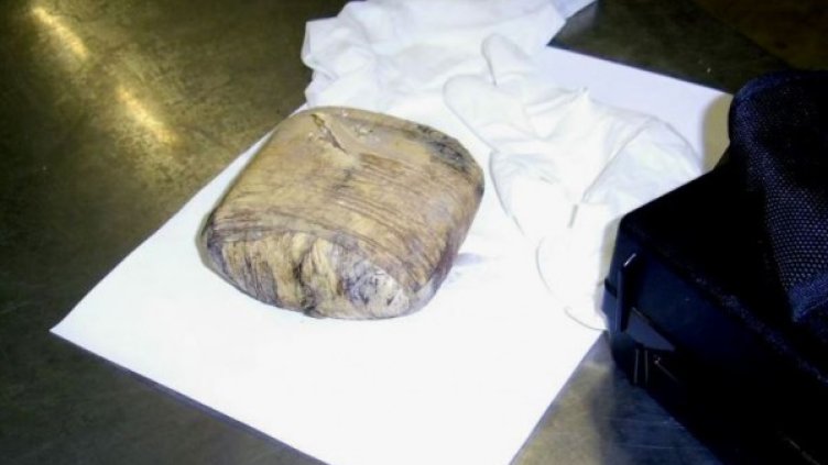 Снимка: Агенция "Митници"