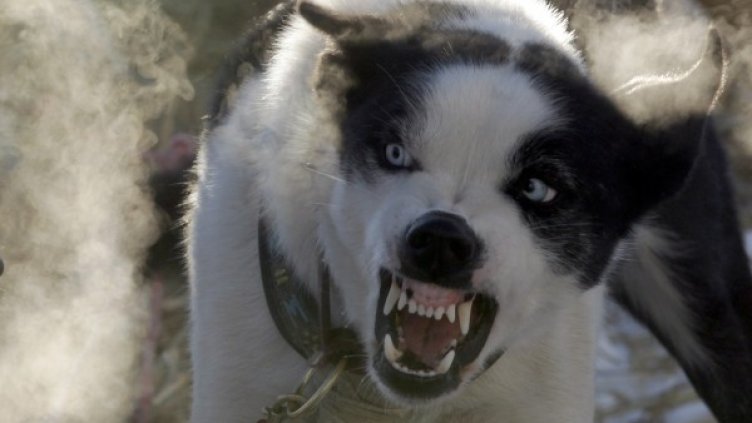 Снимка: Reuters, архив