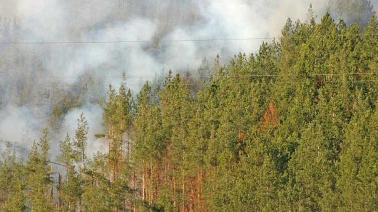 Архив: Булфото