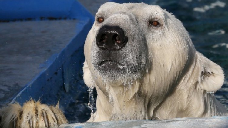 Снимка: архив Reuters