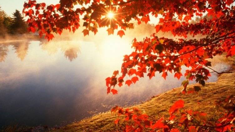 Снимка: flickr