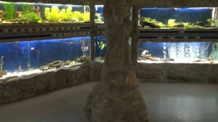 Снимка: Dnes.bg