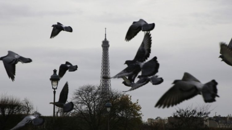 Черният сценарий, от който френските служби се страхуваха