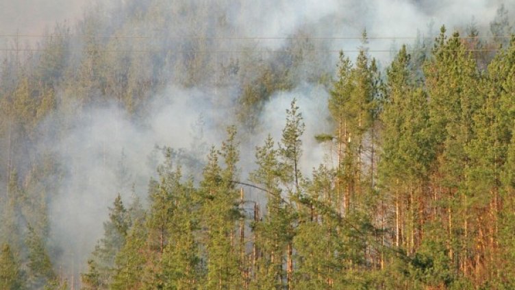 Снимка: Булфото, архив