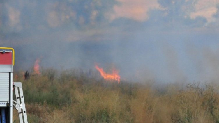 Снимка: Булфото, архив