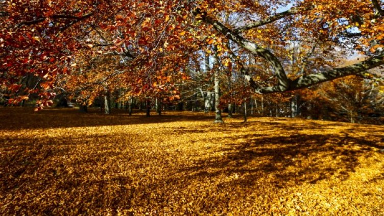 Снимка: архив,  Reuters