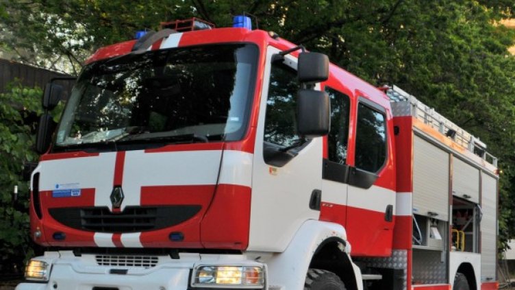 Снимка: архив, Булфото