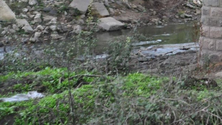 Снимка: Булфото, архив