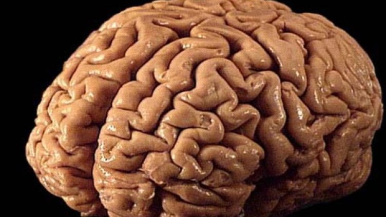 Снимка: Photl.com