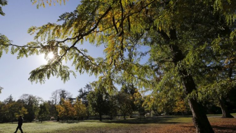 Снимка: архив Bulphoto