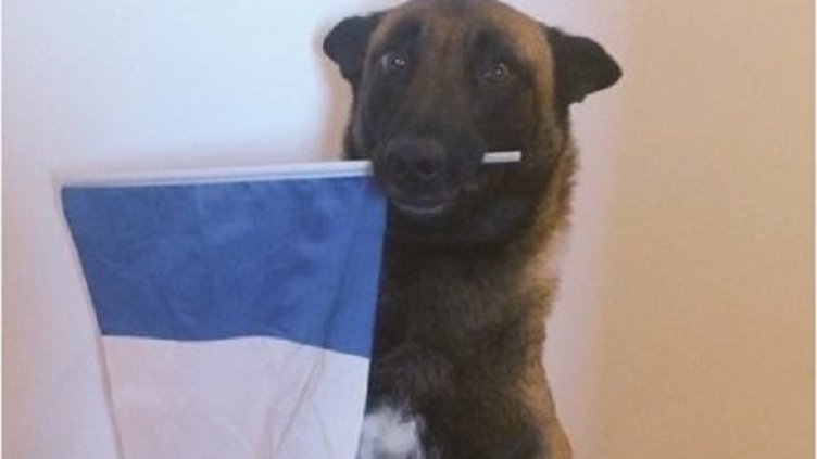 Снимка: Twitter