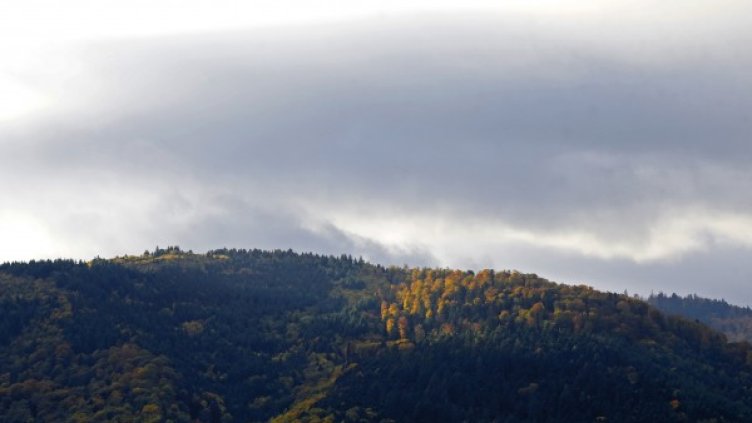 Снимка: архив Reuters