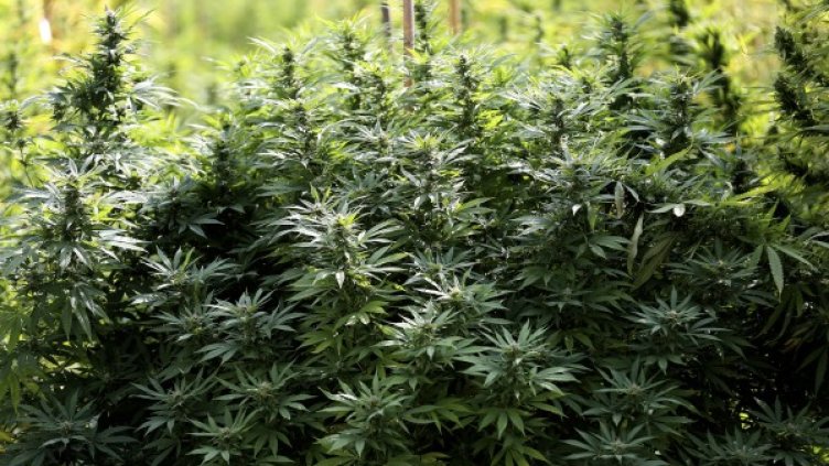 Снимка: Reuters, архив