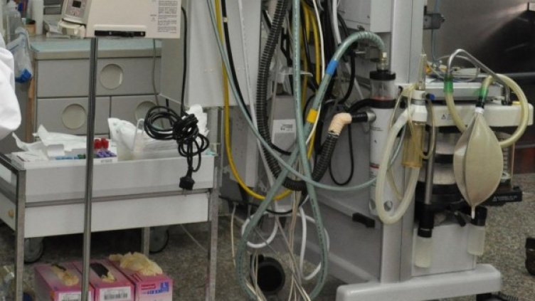 Снимка: архив, БулФото