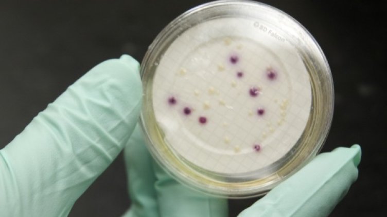 Снимка: Reuters