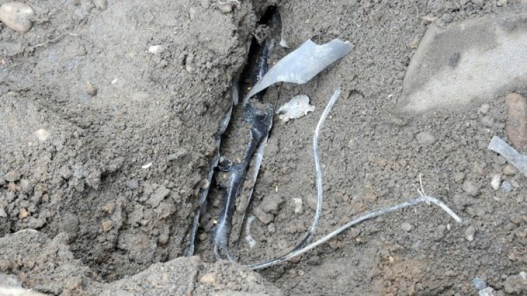 Архив: Булфото