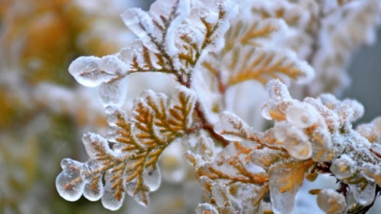 Снимка: архив, БулФото