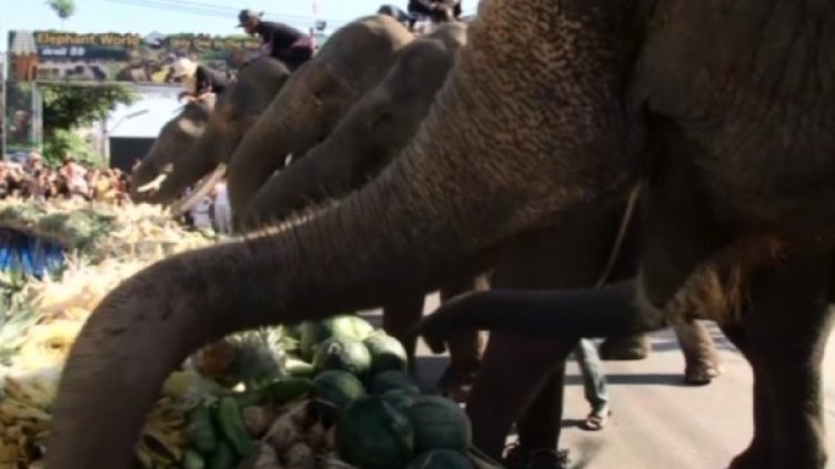 Снимка: bgonair.bg