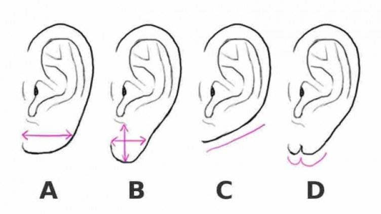 Снимка: фейсбук