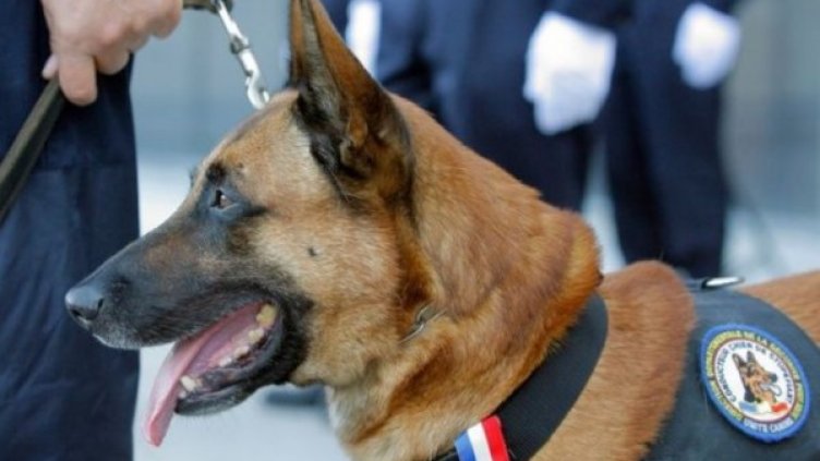 Снимка: Facebook