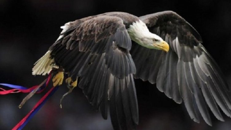 Снимка: Gettyimages