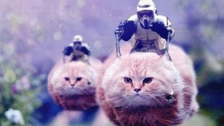 Снимка: Twitter